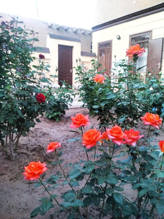 Shodlik Guest House Χίβα Εξωτερικό φωτογραφία